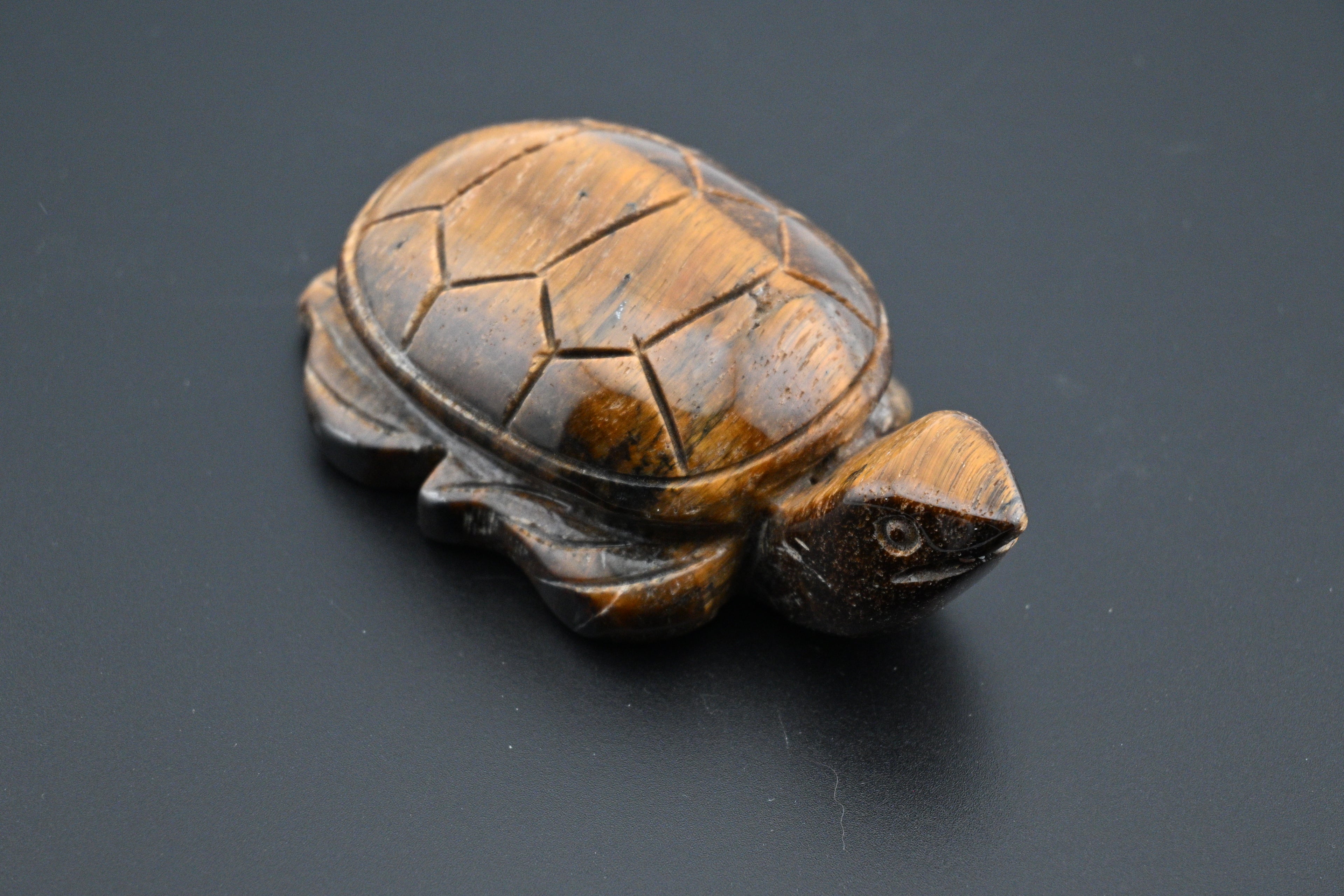 Yellow Tiger’s Eye Turtle