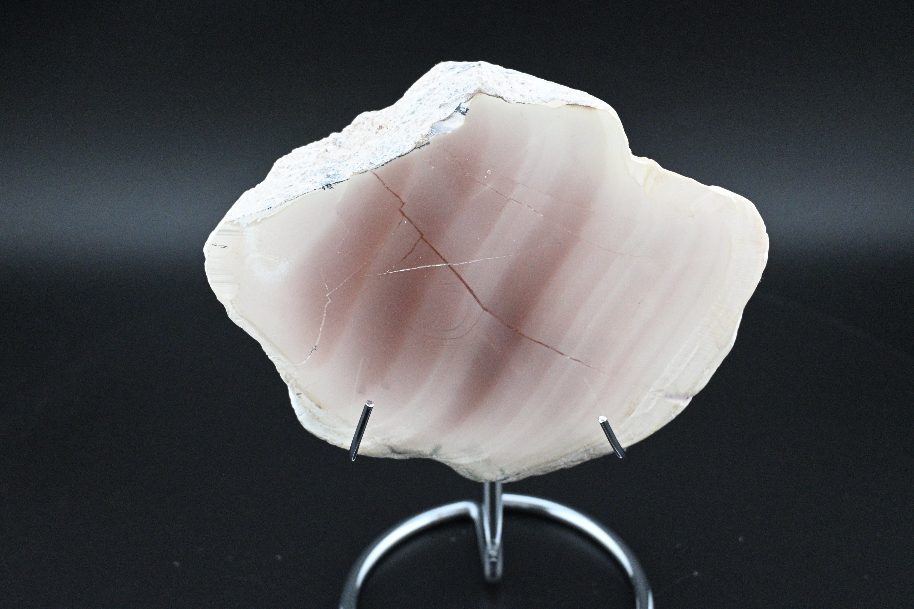 Royal Imperial Jasper Slice on Stand