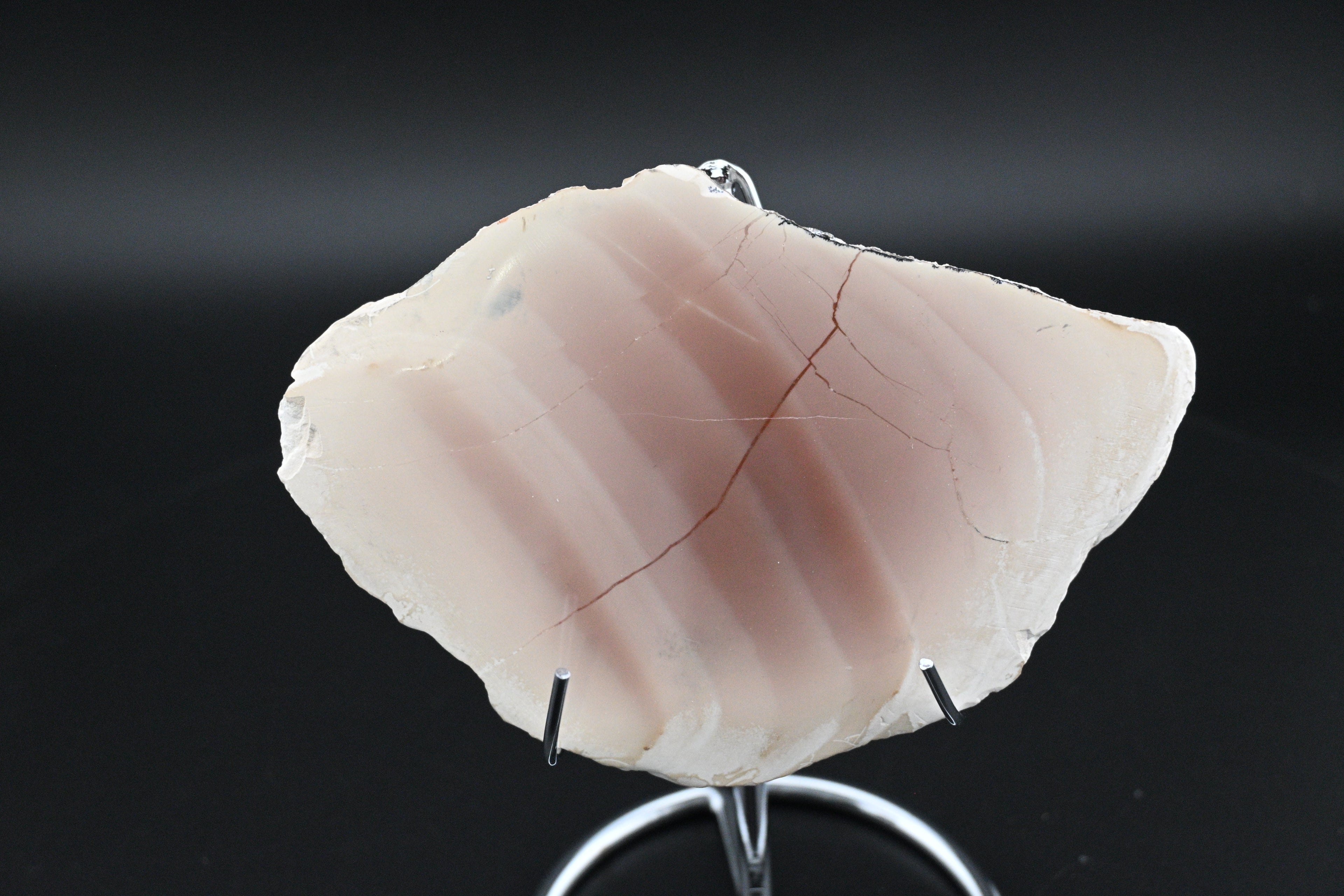 Royal Imperial Jasper Slice on Stand