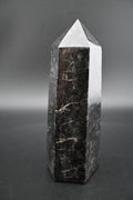 Garnet in Tourmaline Tower