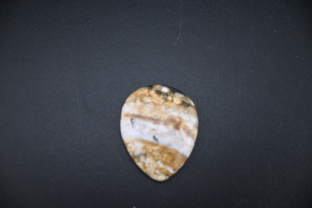 Orbicular Jasper Cabochons from Madagascar