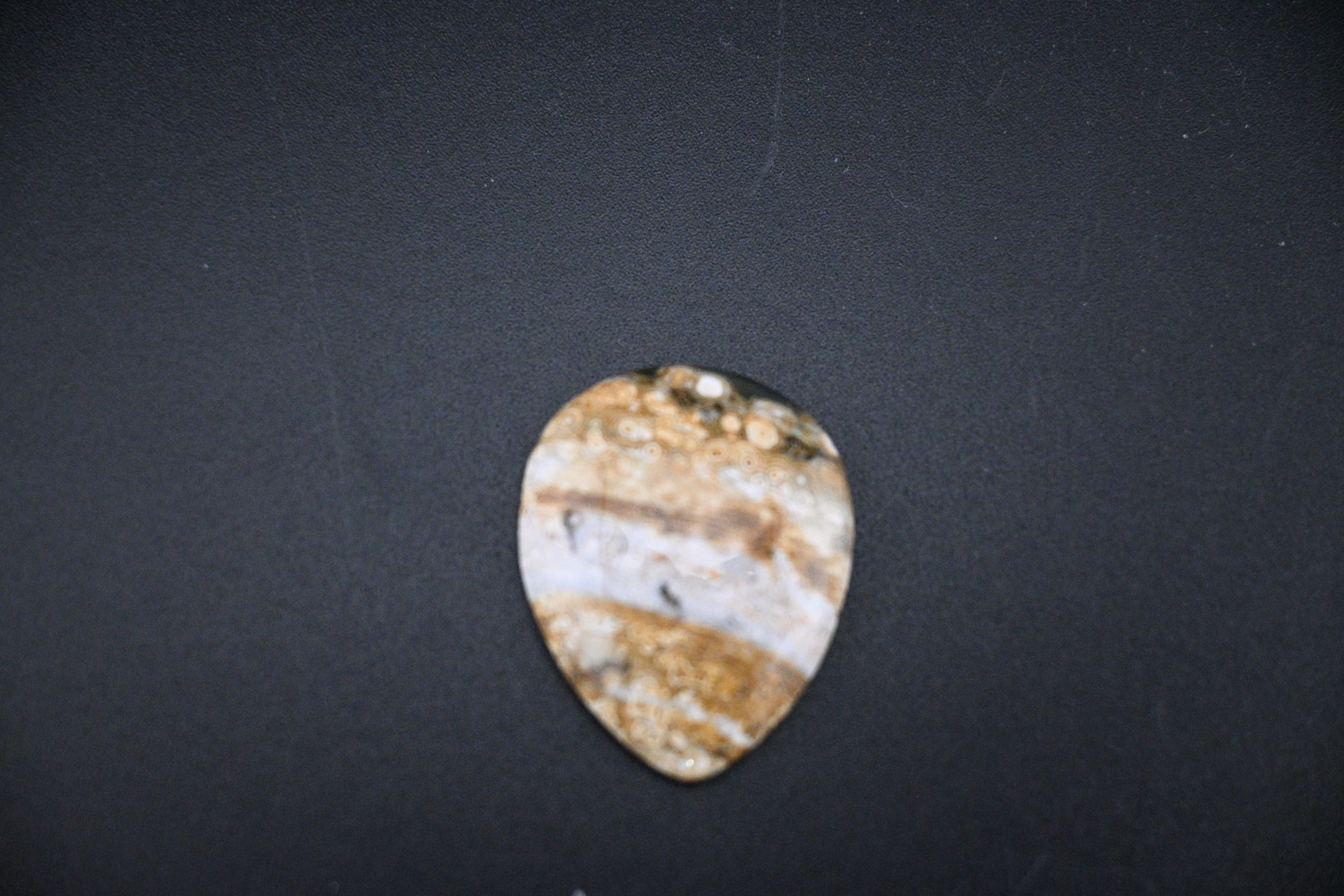 Orbicular Jasper Cabochons from Madagascar